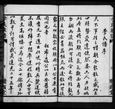 湖南李氏族谱-李氏族谱 [不分卷].pdf电子版预览图5