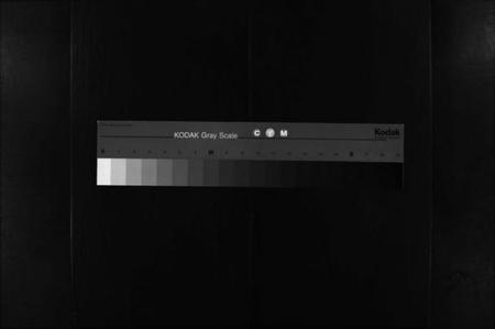 湖南李氏族谱-李氏族谱 [不分卷].pdf电子版缩略图