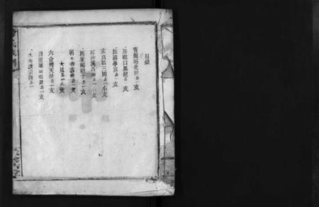 湖南李氏族谱-李氏族谱 [不分卷].pdf电子版预览图2