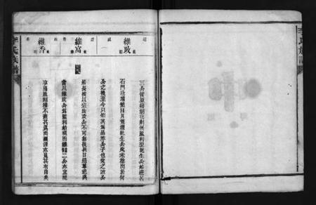 湖南李氏族谱-李氏族谱 [不分卷].pdf电子版预览图4