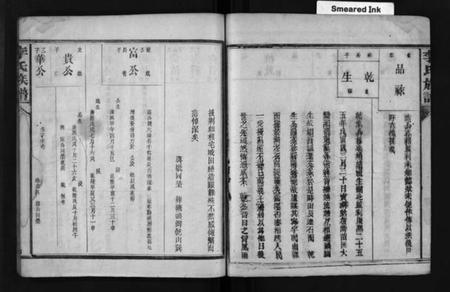 湖南李氏族谱-李氏族谱 [不分卷].pdf电子版预览图5