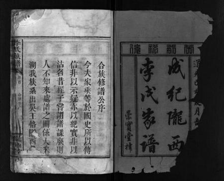 湖南李氏族谱-李氏族谱 [残卷].pdf电子版预览图2