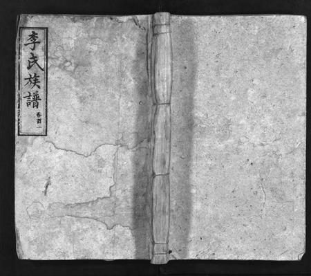 湖南李氏族谱-李氏族谱[65卷,首4卷].pdf电子版预览图1