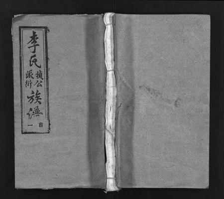 湖南李氏族谱-李氏祯公派衍族谱 [18卷,首4卷].pdf电子版预览图1