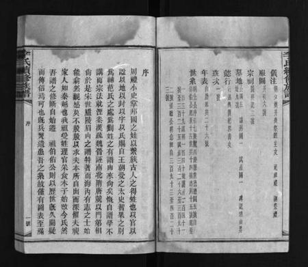 湖南李氏族谱-李氏续修族谱 [不分卷].pdf电子版预览图3