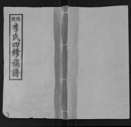 湖南李氏族谱-桥头李氏四修族谱 [35卷,首5卷].pdf电子版缩略图