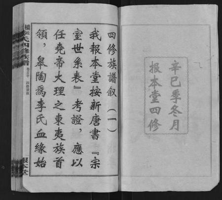 湖南李氏族谱-桥头李氏四修族谱 [35卷,首5卷].pdf电子版预览图2