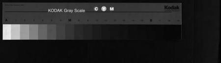 湖南李氏族谱-桥头高山李氏续谱 [8卷,首2卷].pdf电子版缩略图