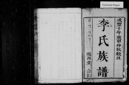 湖南李氏族谱-沩宁东城李氏续谱 [卷数杂异].pdf电子版预览图2