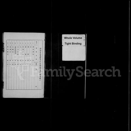 湖南李氏族谱-浏阳市沿溪桥马江口陇西堂李氏族谱 [4卷].pdf电子版预览图3