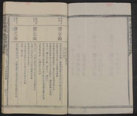 江西洪氏族谱-左山洪氏九修族谱[不分卷].pdf电子版预览图2