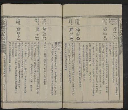 江西洪氏族谱-左山洪氏九修族谱[不分卷].pdf电子版预览图5