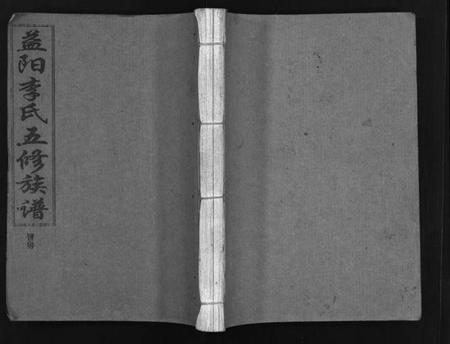 湖南李氏族谱-益阳李氏五修族谱 [16卷,首1卷,附1卷].pdf电子版预览图1