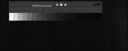 湖南李氏族谱-花门楼李氏支谱[4卷].pdf电子版缩略图