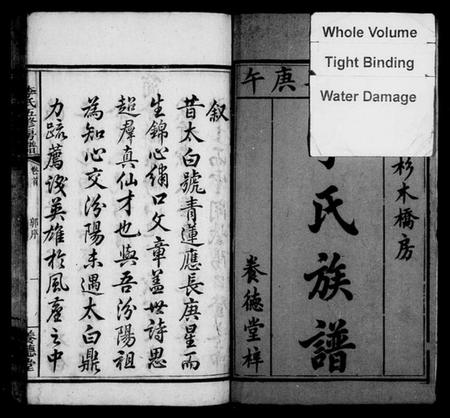 湖南李氏族谱-衡山杉木桥房李氏族谱 [11卷,及卷末].pdf电子版预览图4