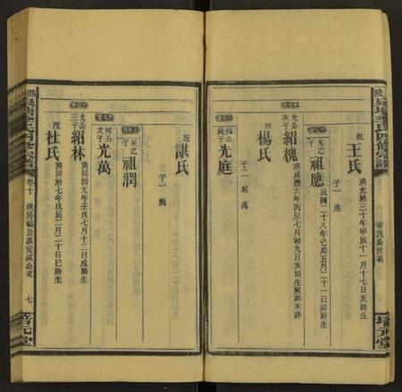 湖南李氏族谱-邵陵泉塘李氏四修宗谱 [20卷,首1卷,末3卷].pdf电子版预览图4