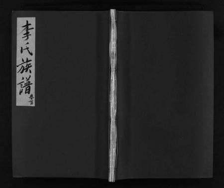 湖南李氏族谱-邵陵龙山李氏族谱 [5卷,首1卷].pdf电子版预览图1