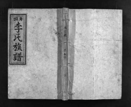 湖南李氏族谱-金山井头李氏族谱 [不分卷].pdf电子版预览图1