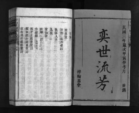 湖南李氏族谱-金山井头李氏族谱 [不分卷].pdf电子版预览图2