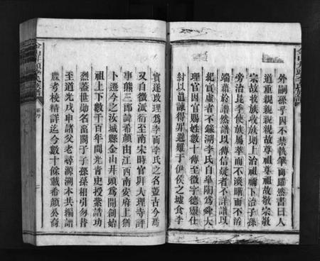 湖南李氏族谱-金山井头李氏族谱 [不分卷].pdf电子版预览图4