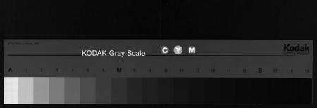 湖南李氏族谱-金溪李氏五修族谱[14卷].pdf电子版缩略图