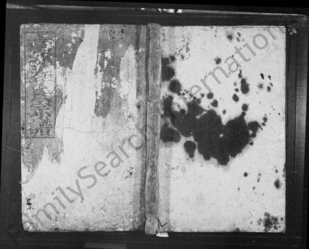 湖南李氏族谱-南郭李氏宗谱.pdf电子版预览图1