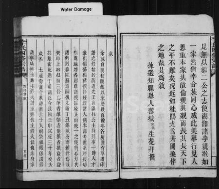 湖南李氏族谱-李氏宗谱 [卷数杂异].pdf电子版预览图5