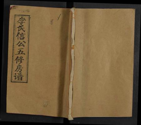 湖南李氏族谱-李氏信公房谱 [15卷,及卷首末].pdf电子版缩略图