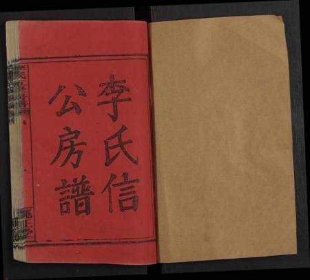 湖南李氏族谱-李氏信公房谱 [15卷,及卷首末].pdf电子版预览图1