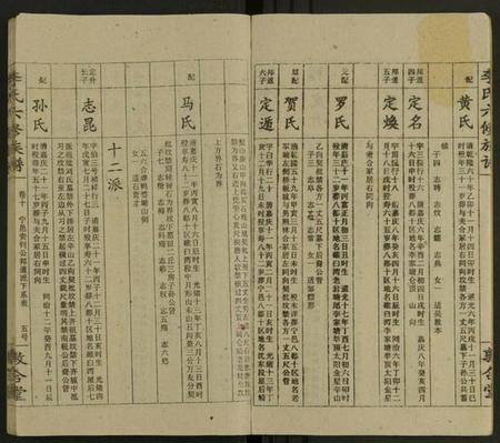 湖南李氏族谱-李氏族谱 [13卷].pdf电子版预览图5