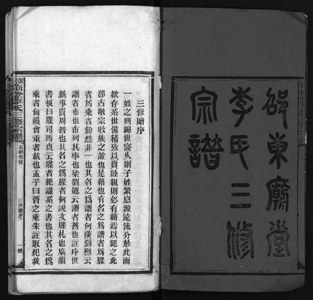 湖南李氏族谱-邵东庙堂李氏三修宗谱 [8卷,首1卷].pdf电子版预览图2