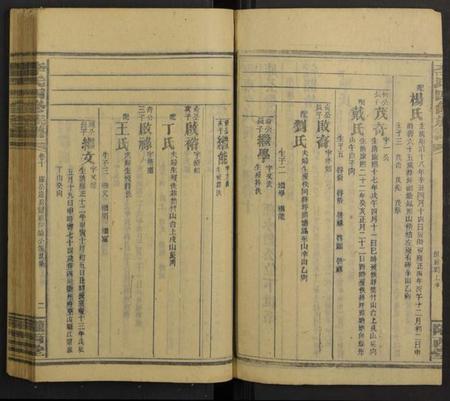 湖南李氏族谱-邵阳李氏四修族谱 [家派集世系卷50卷].pdf电子版预览图2