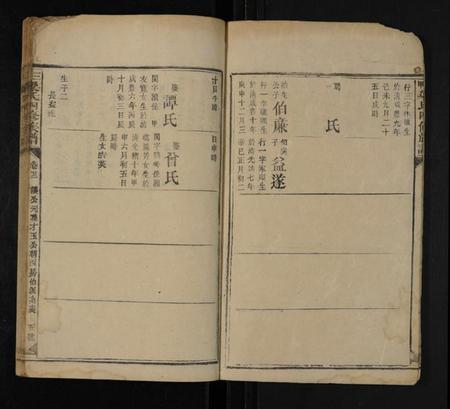 湖南梁氏族谱-三甲梁氏四修族谱 [残卷].pdf电子版预览图5