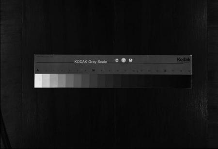 湖南廖氏族谱-廖氏六修族谱 [10卷,及卷首].pdf电子版缩略图