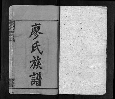 湖南廖氏族谱-廖氏六修族谱 [10卷,及卷首].pdf电子版预览图2