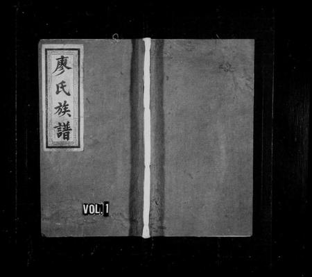 湖南廖氏族谱-廖氏族谱 [10卷,首1卷,牌谱1卷].pdf电子版预览图1