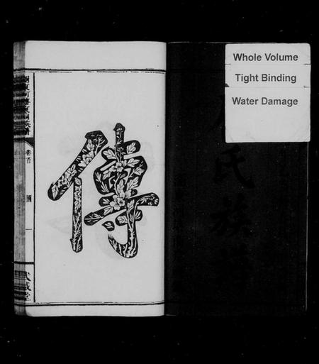 湖南廖氏族谱-廖氏族谱 [10卷,首1卷,牌谱1卷].pdf电子版预览图3