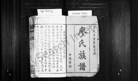 湖南廖氏族谱-廖氏家乘 [26卷,首2卷].pdf电子版预览图2