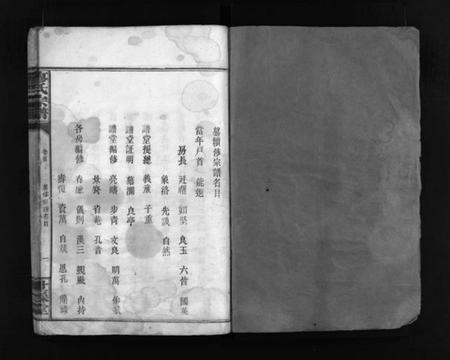 湖南廖氏族谱-廖氏族谱 [9卷,及卷首].pdf电子版预览图2