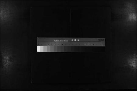 湖南廖氏族谱-廖氏续修族谱 [不分卷].pdf电子版缩略图