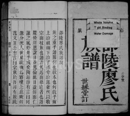 湖南廖氏族谱-邵陵廖氏族谱 [2卷,首1卷].pdf电子版预览图2