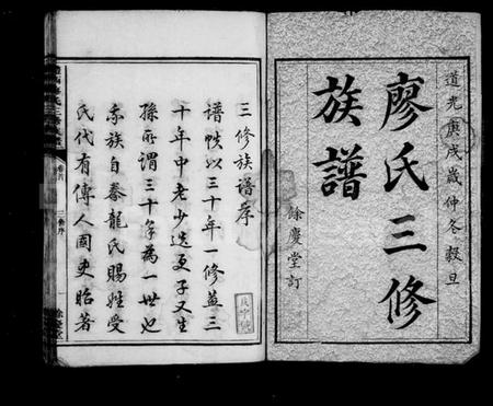 湖南廖氏族谱-醴西廖氏三修族谱 [9卷,首1卷].pdf电子版预览图2