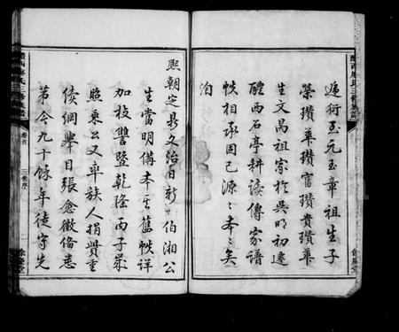 湖南廖氏族谱-醴西廖氏三修族谱 [9卷,首1卷].pdf电子版预览图3