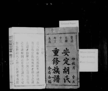 江西胡氏族谱-桂竹坑胡氏族谱 [2卷].pdf电子版预览图2