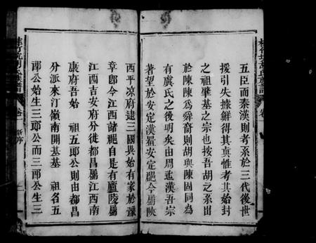 江西胡氏族谱-桂竹坑胡氏族谱 [2卷].pdf电子版预览图4