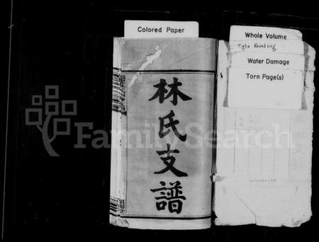 湖南林氏族谱-林氏支谱 [15卷].pdf电子版预览图2