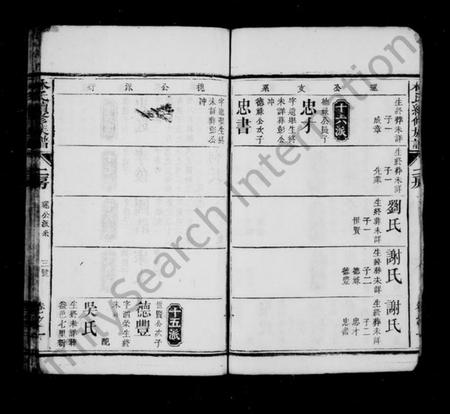 湖南林氏族谱-林氏续修族谱 [存25卷].pdf电子版预览图4