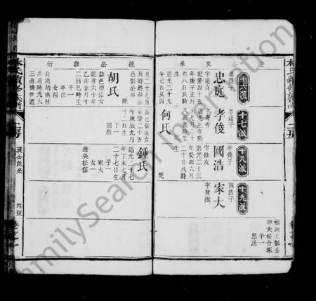 湖南林氏族谱-林氏续修族谱 [存25卷].pdf电子版预览图5