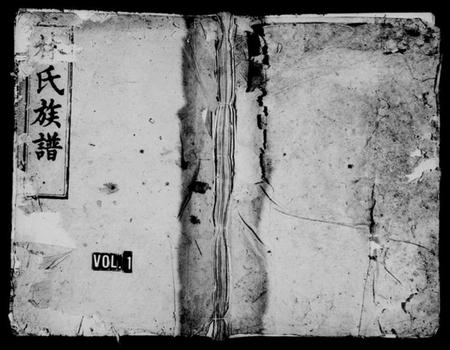 湖南林氏族谱-湖南平江林氏族谱 [16卷,首及附谱各1卷].pdf电子版预览图1