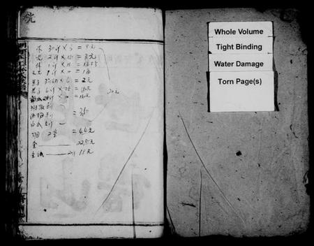 湖南林氏族谱-湖南平江林氏族谱 [16卷,首及附谱各1卷].pdf电子版预览图2